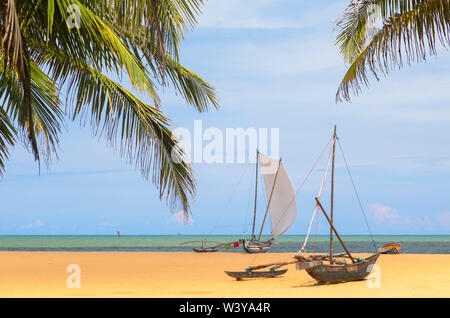 Oruwa (Outrigger Kanu) am Strand von Negombo, Western Province, Sri Lanka Stockfoto