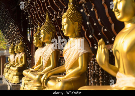 Statuen an Seema Malakaya auf Bere See, Colombo, Sri Lanka Stockfoto