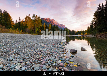 Sonnenuntergang bei Avalanche Creek, Glacier National Park, Montana, USA Stockfoto