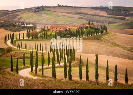 Anmutige Sonnenuntergang über Herbst Tal und Allee mit Zypressen. Val d'Orcia, Siena. Toskana. Italien. Europa. Soft Focus Stockfoto