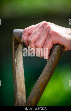 Frau hält Garten Schaufelstiel, während ein Rest von Graben Stockfoto