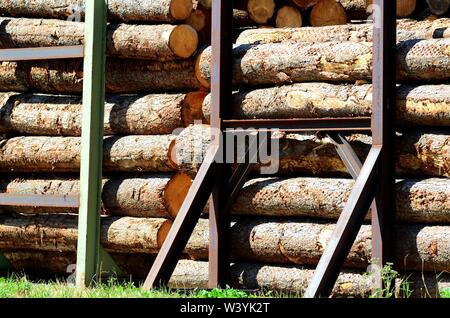 Detail der Trunks in einem Sägewerk in der Nähe von Bruneck (BZ), Pustertal, Südtirol. Italien Stockfoto