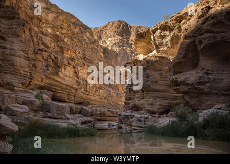 Wadi Shab, Oman Stockfoto