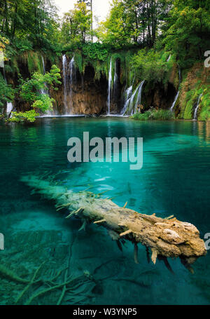 Nationalparks Plitvicer Seen, Kroatien Stockfoto
