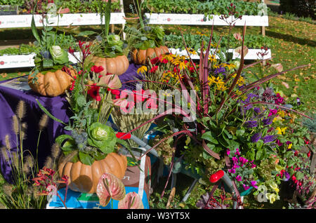 Eine bunte Anzeige von Gemüse und Pflanzen am Althorp Essen und Trinken Festival, eine jährliche Veranstaltung in Althorp House, Northamptonshire, Großbritannien Stockfoto