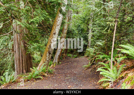 Eingang zu einem parh führenden Küstenstraße gemischten Laub- und Nadelwald auf Bowen Island, British Columbia, Kanada Stockfoto