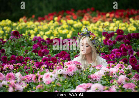 Weibliche Modell mit einem floralen Kopfschmuck unter den Dahlie Blume Anzeige an der RHS Tatton Park Flower Show 2019. Knutsford, Cheshire, Großbritannien Stockfoto