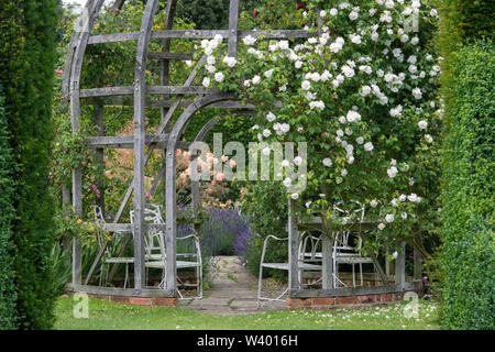 Rose-Laube im Garten Waterperry, Oxfordshire, England Stockfoto