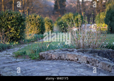 Alte Stein Weg entlang der Rasen im Garten Stockfoto