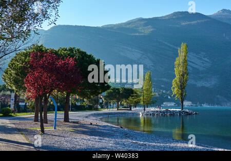 Nördlichen Strand Sonnenaufgang am kleinen Hafen Porticcioloat Lago di Garda, Gardasee, Torbole - Nago, Riva, Trentino, Italien am 15. April 2019. © Peter Stockfoto