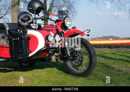 Nahaufnahme eines geparkten roten Motorrad mit Beiwagen und Tulpenfelder Stockfoto