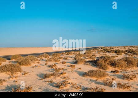 Dünen von Corralejo Naturpark mit Straße Landschaft in Fuerteventura Stockfoto