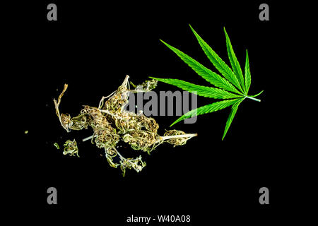 Cannabis Kräutertee und Marihuana lässt. Stockfoto