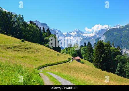 Höhenweg in den Hügeln in der Nähe von Lauterbrunnen in den Schweizer Alpen. Der Weg führt zu einer kleinen Berghütte. Im Sommer fotografiert. Grüne Landschaft. Berge im Hintergrund. Stockfoto