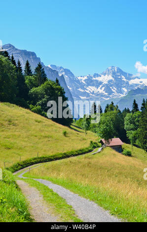 Schmalen Pfad in den Hügeln in der Nähe von Lauterbrunnen im Schweizer Alpen führt zu kleinen hölzernen Berghütte. An einem sonnigen Sommertag fotografiert. Grüne Hügellandschaft. Berge mit Schnee im Hintergrund.
