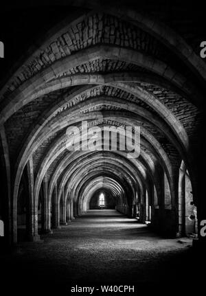 Vertikale Aufnahme des Flurs in Schwarz-Weiß in der Krypta der Fountains Abbey. Stockfoto