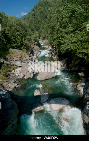 Schöne Aussicht auf die Maggia vom üppigen Grün der Bäume in der berühmten Maggiatal im Tessin, in der Schweiz an einem sonnigen Tag umgeben Stockfoto