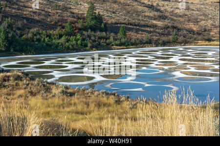 Kanada, British Columbia, South Okanagan Valley in der Nähe von Osoyoos, Spotted Lake ist ein See für die Okanagan (Syilx) Menschen Stockfoto