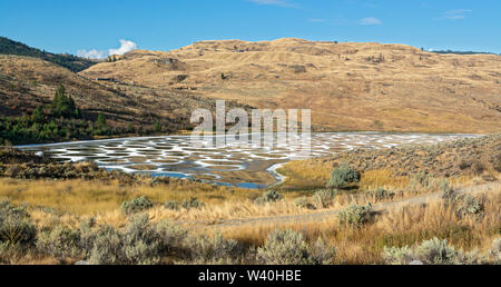 Kanada, British Columbia, South Okanagan Valley in der Nähe von Osoyoos, Spotted Lake ist ein See für die Okanagan (Syilx) Menschen Stockfoto