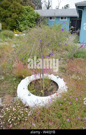 Große verwendet Gummi Ackerschlepper Reifen als Pflanzer Vor einem Bauern home für Blumen und schönen Pflanzen verwendet, weiß lackiert Kalifornien USA Nordamerika Stockfoto