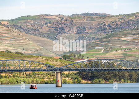 Pinhão Dorf in Alto Douro Vinhateiro, Flusskreuzfahrten auf dem Douro, die Brücke und die Weinberge Stockfoto