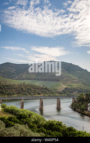 Malerischer Blick auf Alto Douro Vinhateiro mit Terrassen, die Weinberge und die Tua Brücke über den Fluss Douro Stockfoto