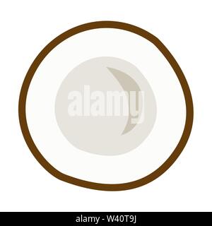 Vector Illustration der Kokosnuss Früchte. Stock Vektor