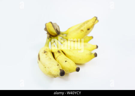 Kleine gelbe Bananen isoliert auf weißem Hintergrund Stockfoto