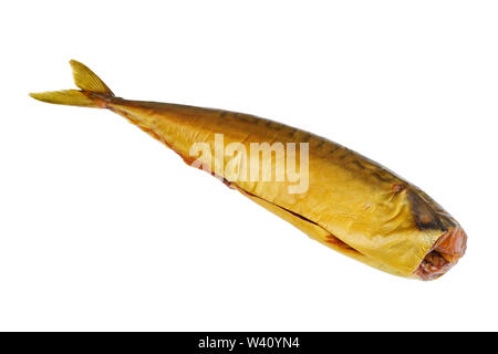 Einen goldenen Körper von Gegrilltem geräucherte Makrele fischen. Auf weissem studio Makro isoliert Stockfoto