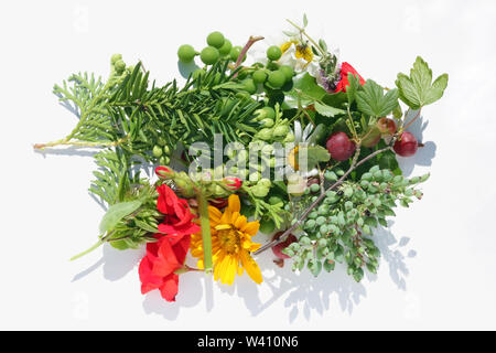 Sommer hell Pflanzen und Blumen sind ein Bündel auf einem weißen Tisch. Im freien Nahaufnahme Bild mit harten Sonne Licht Schatten Stockfoto