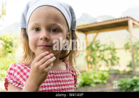 Junge Pre-school Mädchen isst ein radieschen sie gerade in Ihrem Gemüsegarten geerntet Stockfoto