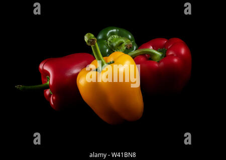 Drei, süßen, bunten Pfeffer auf einem schwarzen Hintergrund. Drei Farben der Paprika. Bell Paprika rot, grün und gelb. Stockfoto