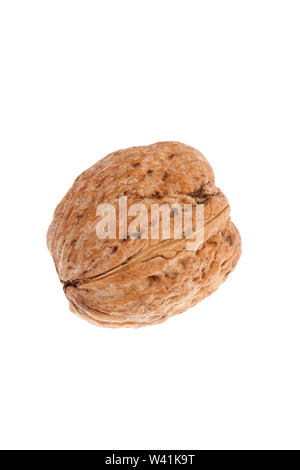 Walnüsse in der Schale auf weißem Hintergrund Stockfoto