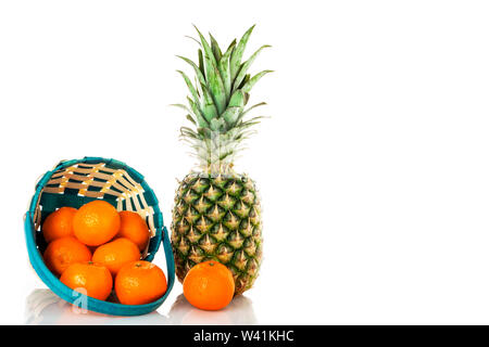 Ananas mit Korb und mit kleinen Mandarinen auf weißem Hintergrund. Isolieren. Stockfoto