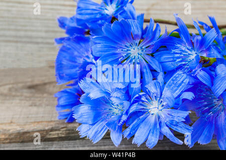 Blaue Wildblumen liegen auf natürlichen Holzbrettern. Nahaufnahme. Stockfoto