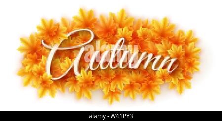 Herbst Hintergrund. Zerstreut Ahornblätter auf weißem Hintergrund mit Text isoliert. Herbst Blatt Bouquet. Saisonale Banner für Ihre Konstruktion. Vektor illustra Stock Vektor