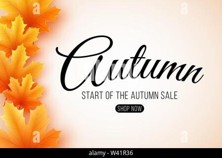 Herbst Sale. Web Banner mit Schriftzug. Saisonale Plakat mit Blätter im Herbst. Maple Leaf. Start des Herbst Sale. Vector Illustration. EPS 10. Stock Vektor