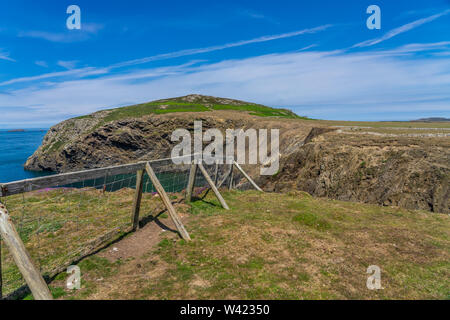 Nur eine der vielen Ansichten während einer Wanderung rund um Ramsey Insel RSPB Nature Reserve Stockfoto