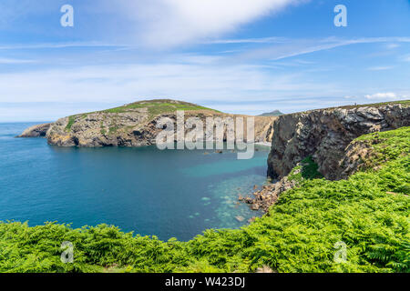 Nur eine der vielen Ansichten während einer Wanderung rund um Ramsey Insel RSPB Nature Reserve Stockfoto