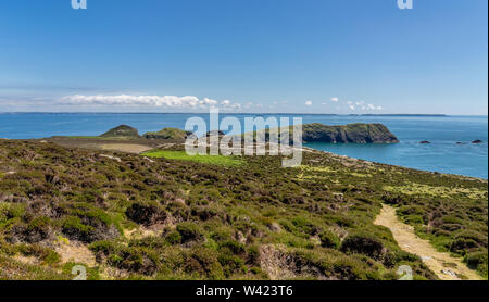 Nur eine der vielen Ansichten während einer Wanderung rund um Ramsey Insel RSPB Nature Reserve Stockfoto