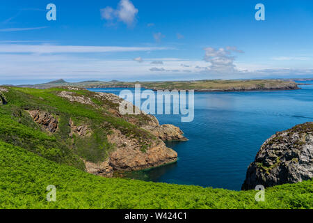 Nur eine der vielen Ansichten während einer Wanderung rund um Ramsey Insel RSPB Nature Reserve Stockfoto