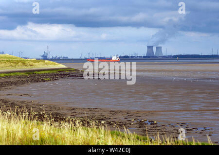 Ein Träger, die über die Westerschelde mit dem Doel Atomkraftwerk im Hintergrund auf Walcheren, Zeeland, Niederlande Stockfoto