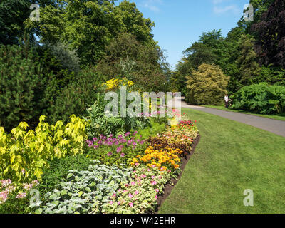 Sommer Blumenbeet in Valley Gardens Harrogate, North Yorkshire England Stockfoto