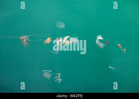 Plastikmüll im Meer oder Ozean. Kunststoff Flaschen, Beutel, Strohhalme und Cups unter Wasser. Umweltverschmutzung problem. Stockfoto