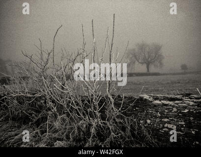 Winter in der Avening Tal, Glos, Großbritannien Stockfoto