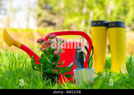 Gummistiefel, Gießkanne und die Gardener Tools für die Arbeit im Garten auf den grünen saftigen Gras Stockfoto