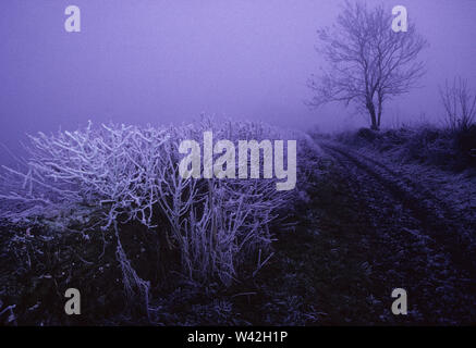 Winter in der Avening Tal, Glos, Großbritannien Stockfoto