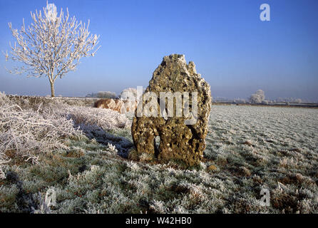 Winter in der Avening Tal, Glos, Großbritannien Stockfoto