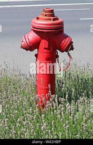 Red Fire Hydrant neben der Straße Stockfoto