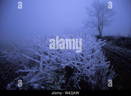 Winter in der Avening Tal, Glos, Großbritannien Stockfoto